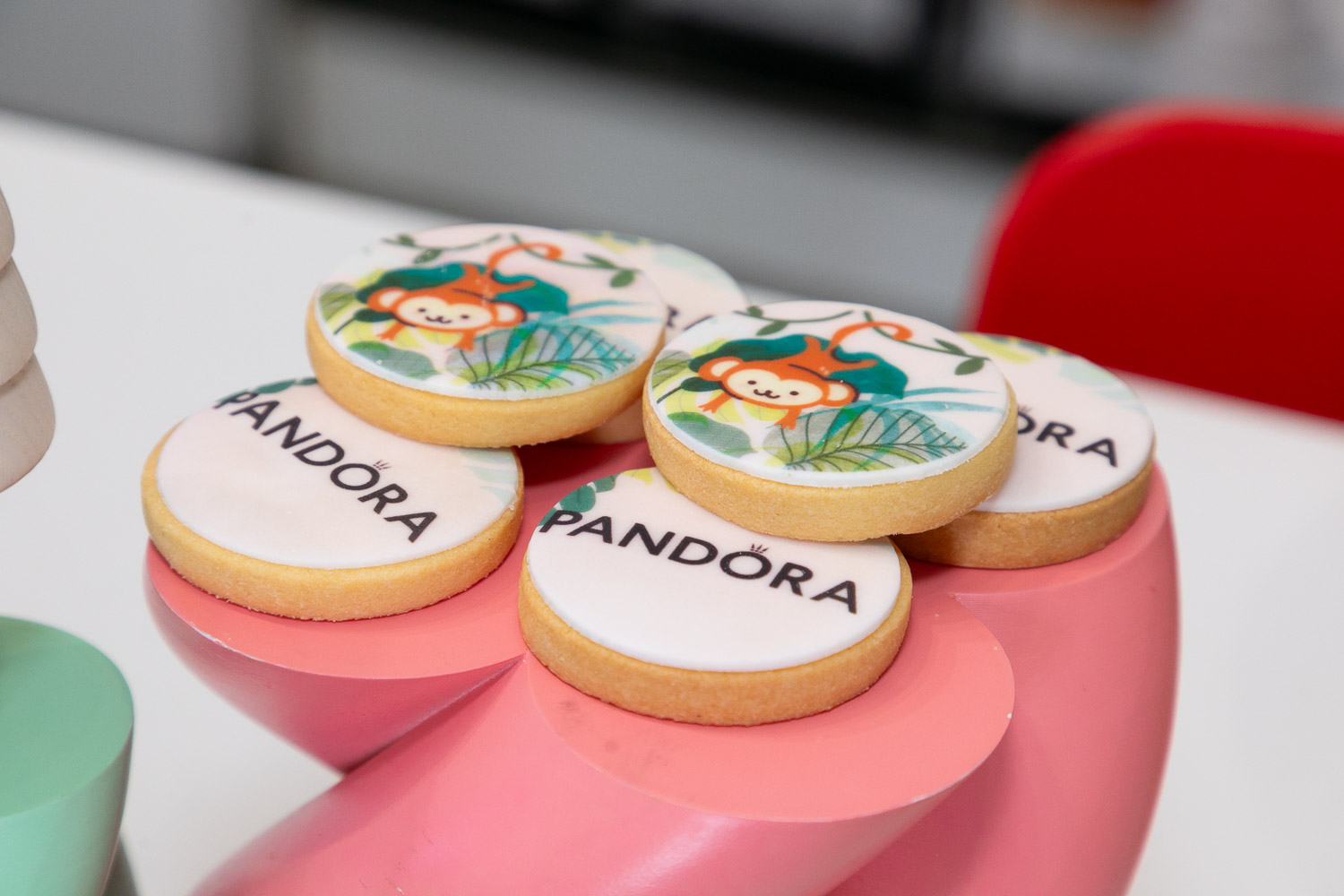 IMG_5581
