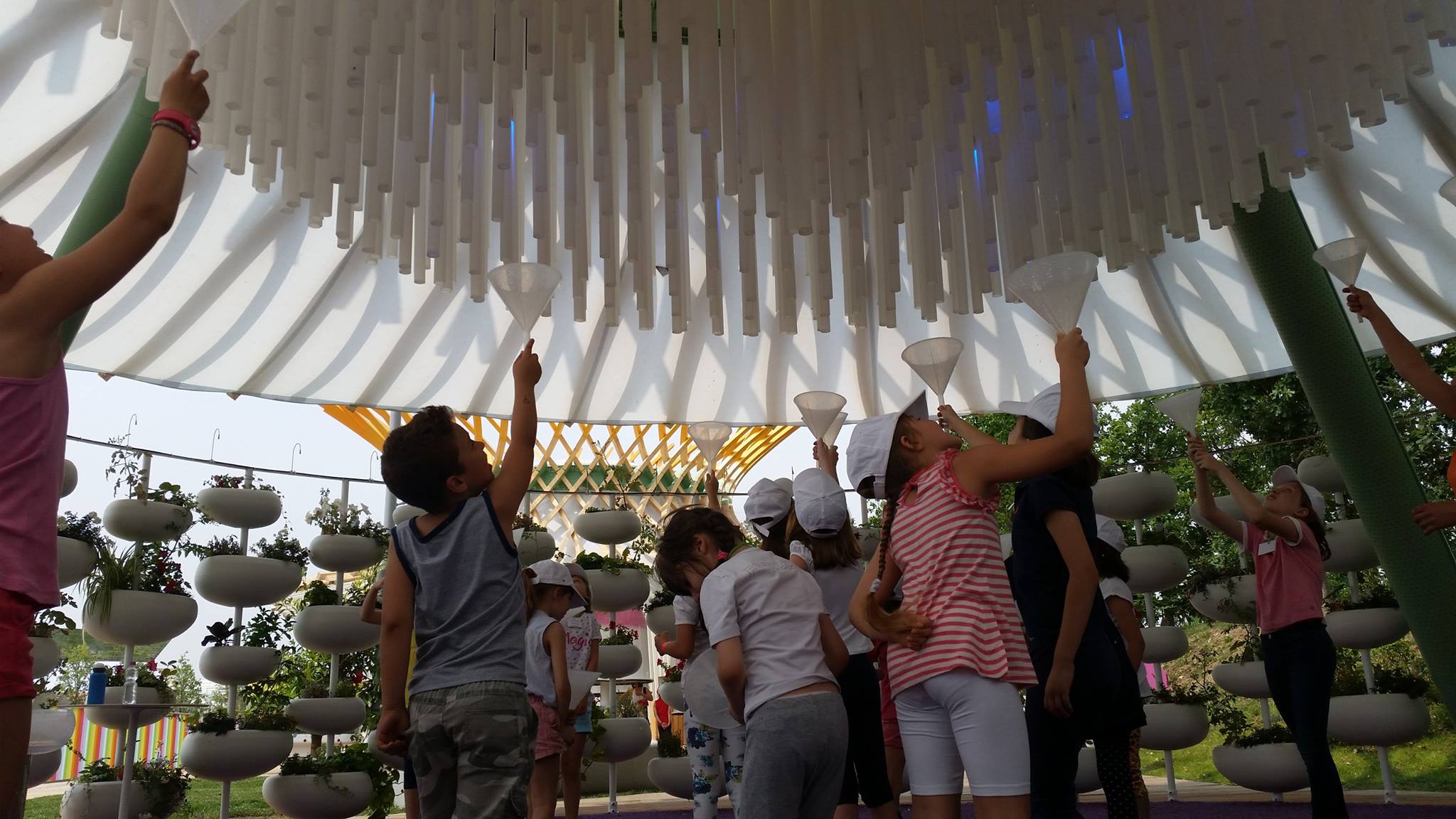 expo